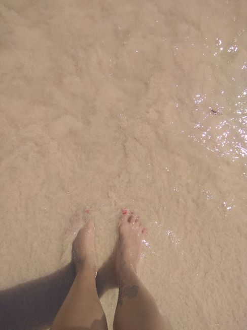 Algas (o no) en Riviera Maya! - 2