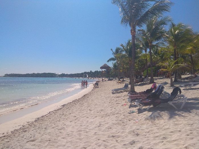 Algas (o no) en Riviera Maya! - 4