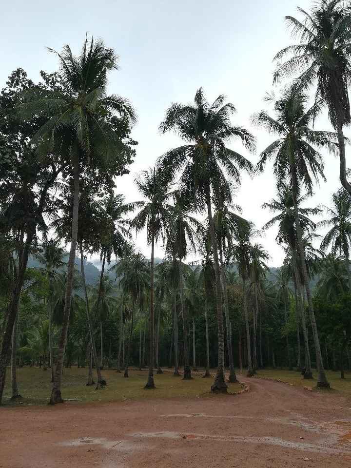 Mi luna de miel, Tailandia, Camboya y Vietnam - 8