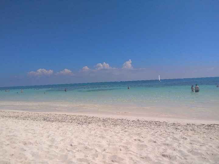 Algas (o no) en Riviera Maya! - 1