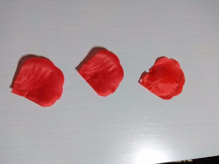 Petalos 2