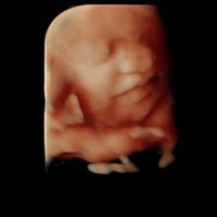Futuras mamas julio 2019 - 1