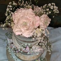 Tarta de novios!!!!!! - 2