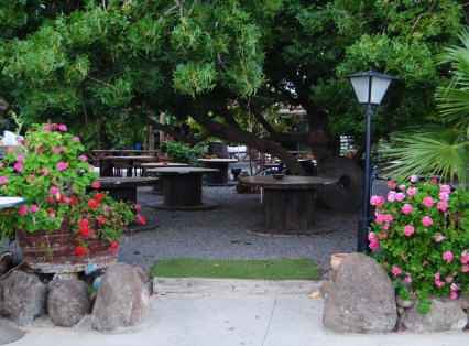 Segunda terraza de la finca