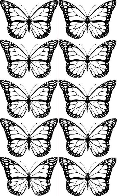 Mariposas banquete - 1