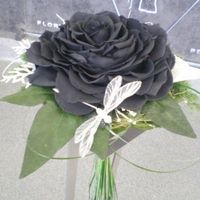 Rosmelia negra