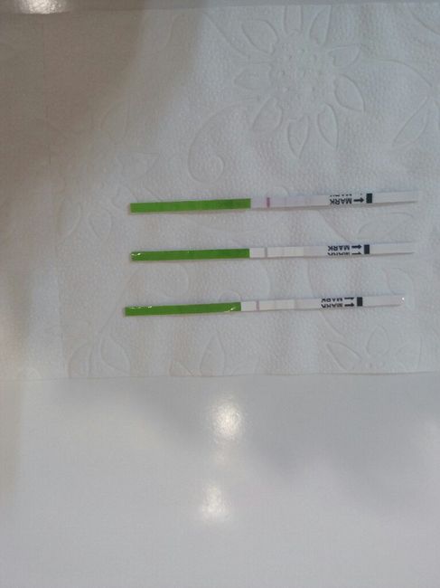 Test ovulación 1
