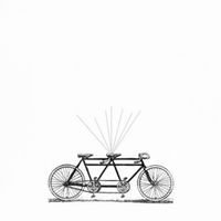 bicicleta wish tree