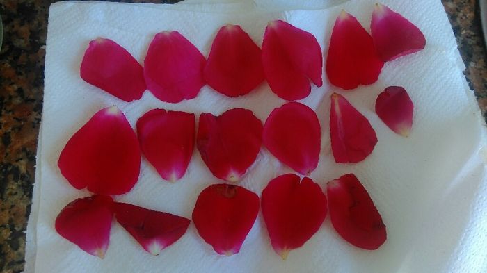 Tarde de secado de petalos - 3