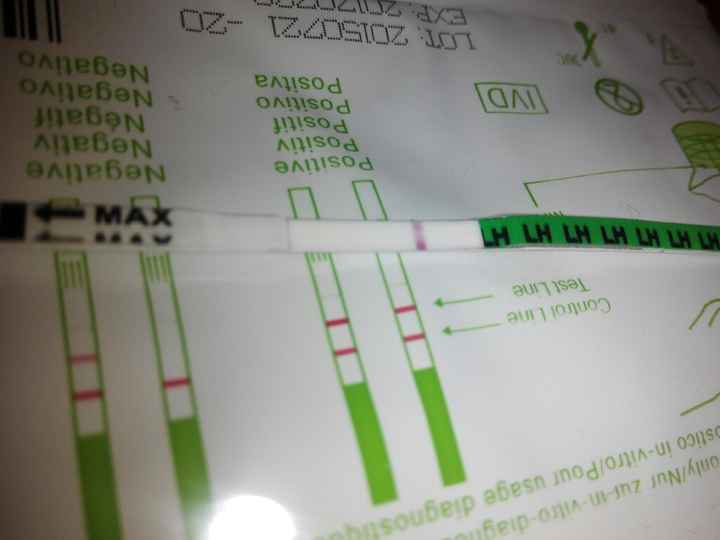 Resuelvo dudas sobre los to (test de ovulacion) - 1