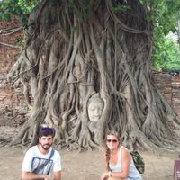 Buda en el árbol ayutthaya