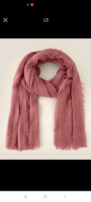 Pashminas 2
