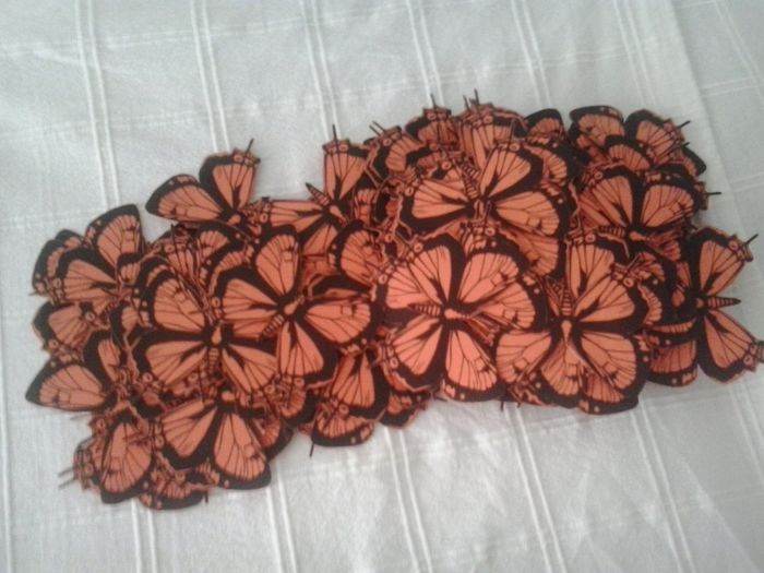 Mis mariposas