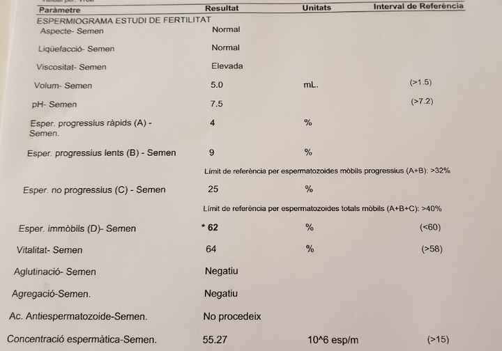 Alguien que entienda de espermiograma - 1