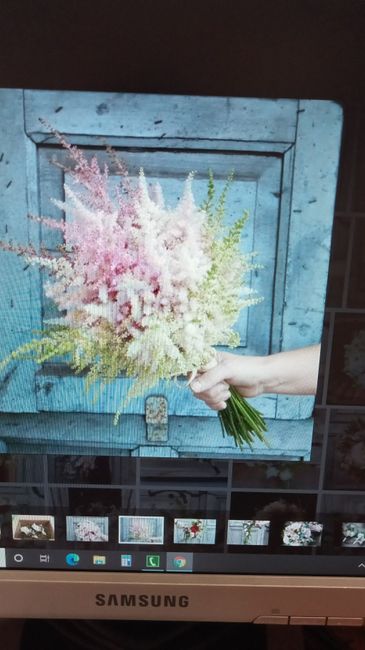 Nombre de esta flor 1