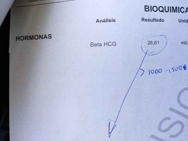 buscadoras con Sop/op - 1