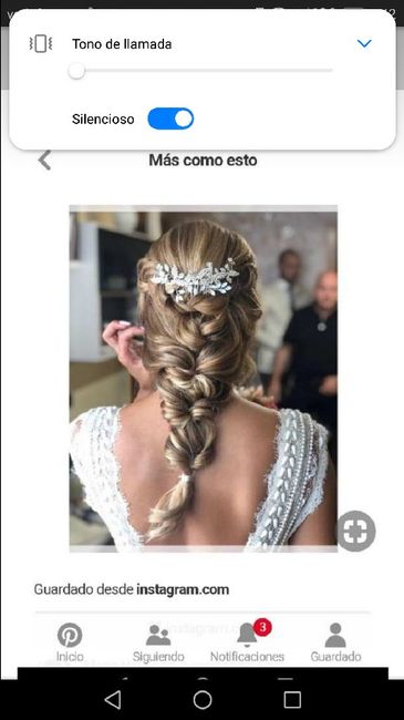 Trenza para mi dia..pero cual? - 2