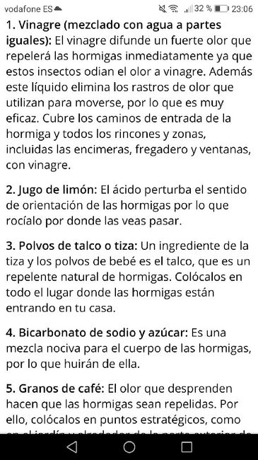 Hormigas!!!!! 😨😨 - 1