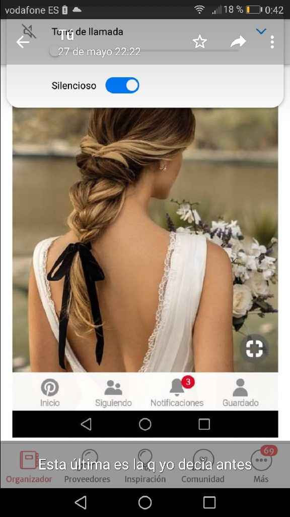 Trenza para mi dia..pero cual? - 1