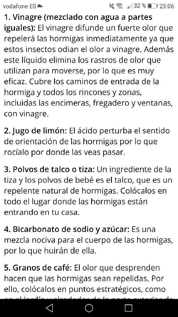 Hormigas!!!!! 😨😨 - 1