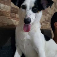 No me caso con ella porque no es legal... JAJAJAJAJAJA