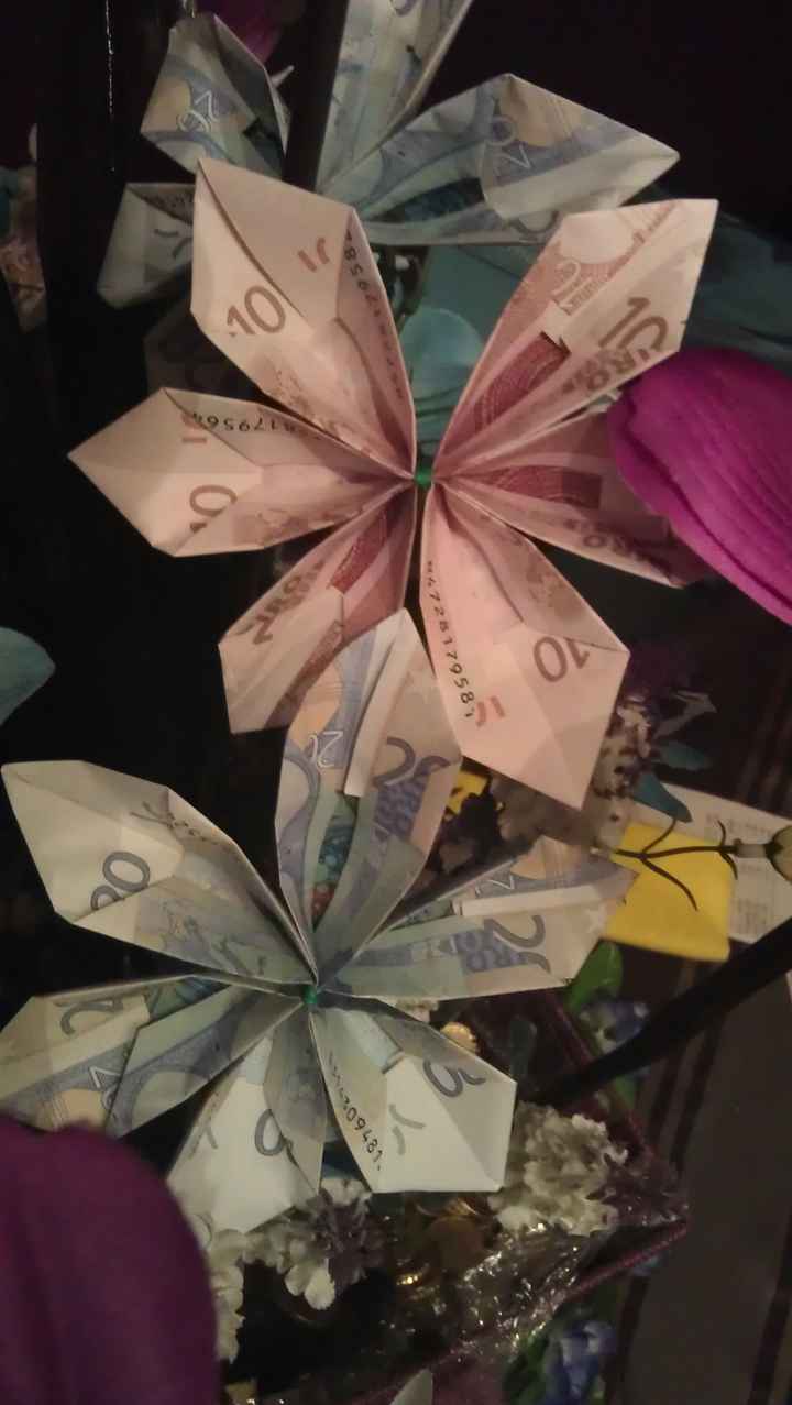 Regalo de mi cuñado. La planta del dinero II