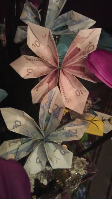 Regalo de mi cuñado. La planta del dinero II