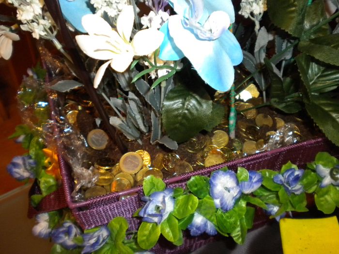Regalo de mi cuñado. La planta del dinero III