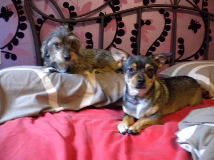 Mis niñas