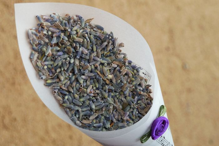 Conos lavanda