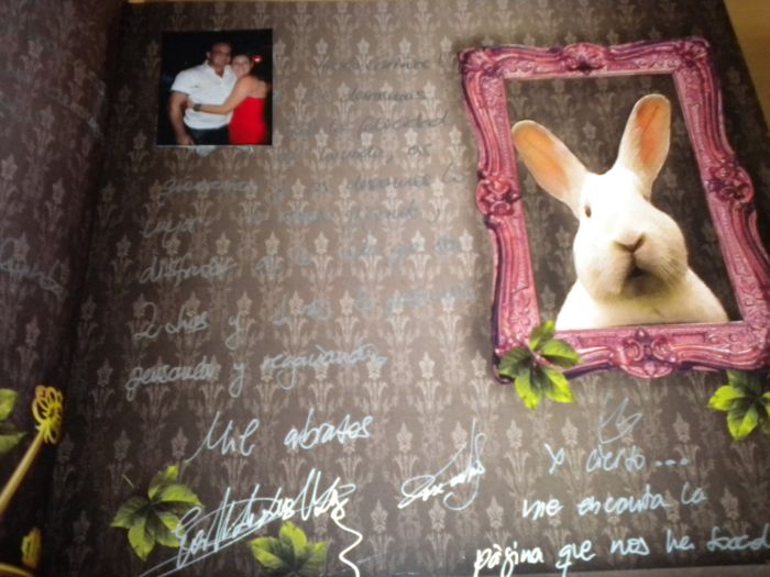 Libro de firmas_ilustraciones6