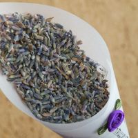 Conos lavanda