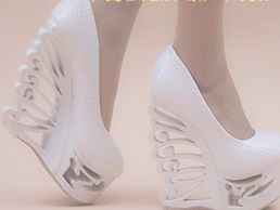 zapato 2