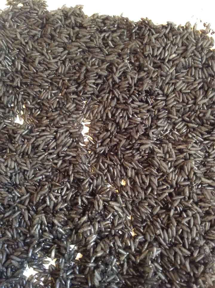  Arroz de colores!! - 9