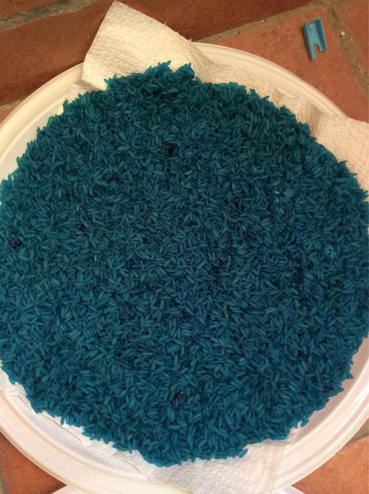  Arroz de colores!! - 10