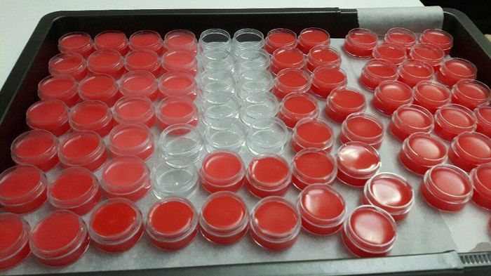  Bálsamos labiales en proceso!! - 2