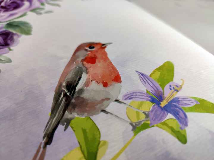 ¡¡tres meses sólo!! - 2