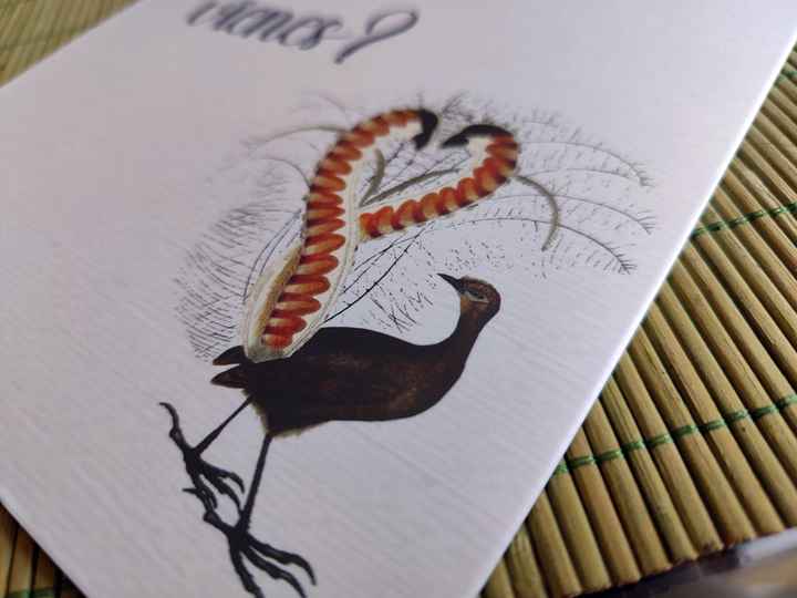 ¡¡tres meses sólo!! - 3