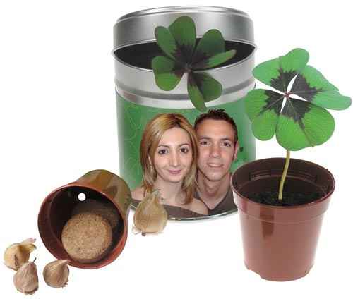 Trebol 4 hojas