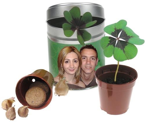 Trebol 4 hojas