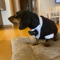 Valora... ¡este invitado especial! - 1