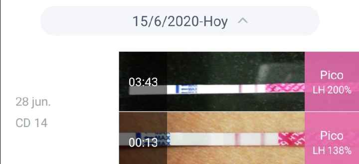 Buscadoras Julio 2020 ♥️ - 1