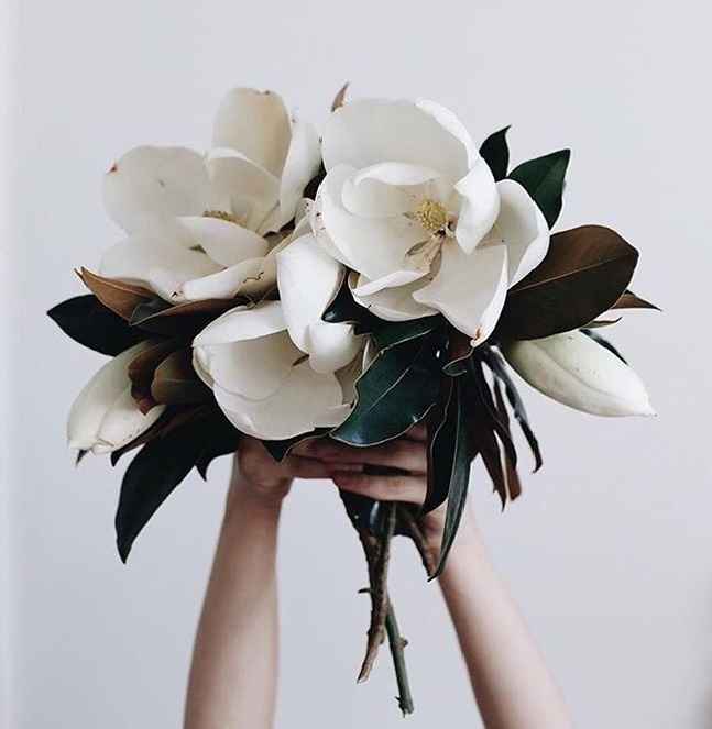 La magnolia es una de mis flores favoritas. Me inspira su olor, la forma de sus pétalos, el color os