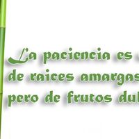 ...PORQUE NO NOS QUEDA OTRA...