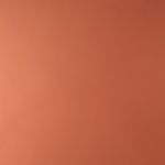 Ines