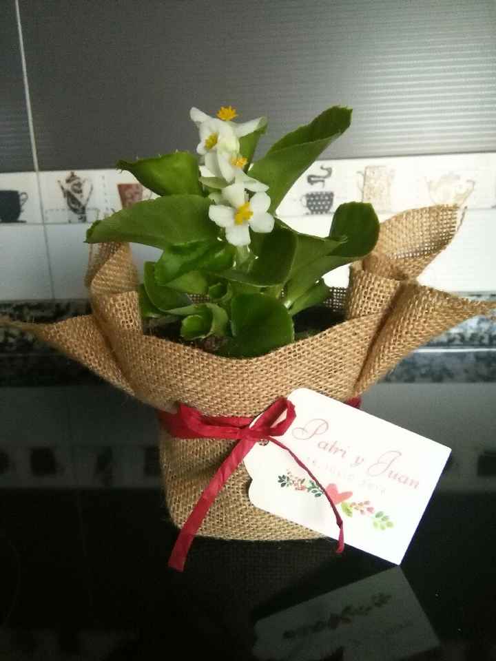 Regalar plantitas - 1