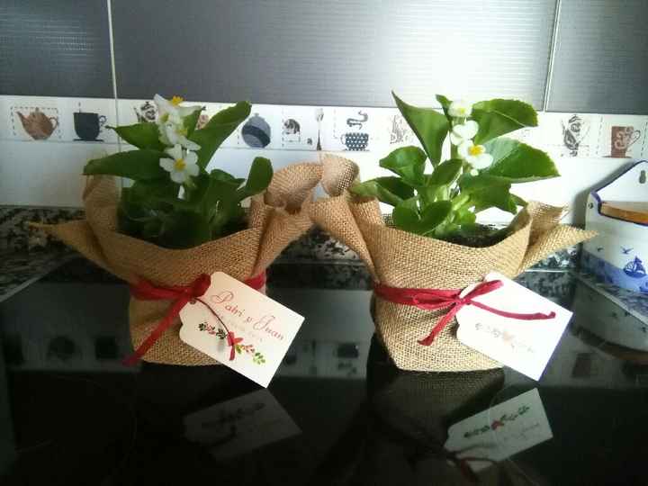 Regalar plantitas - 2