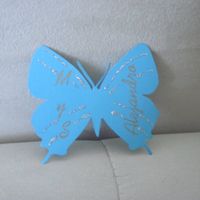 Primera mariposa