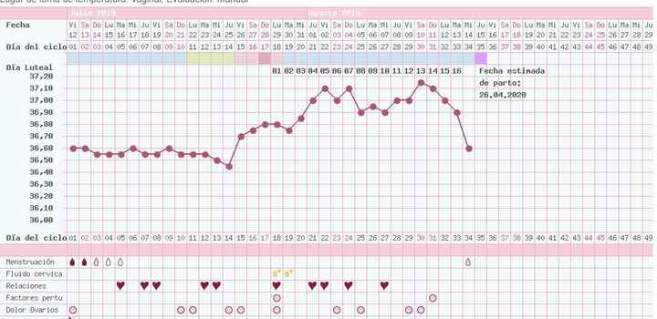 graficaa
