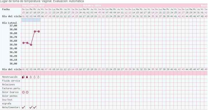 grafica 